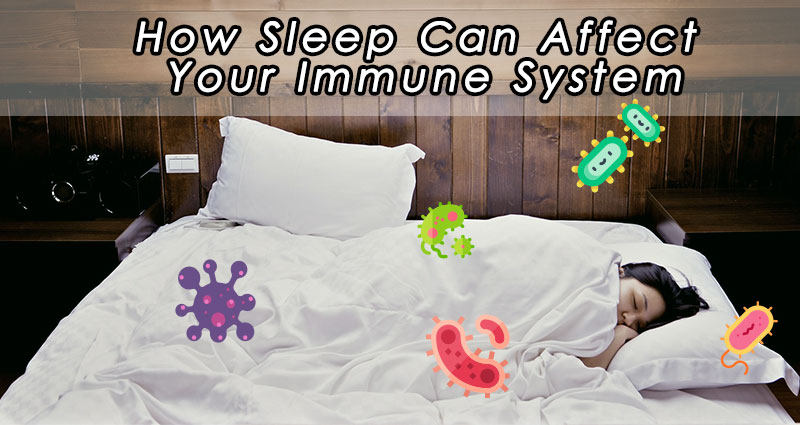 Sleep Immune Header